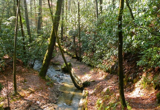 Parched Corn Creek - Rough Trail